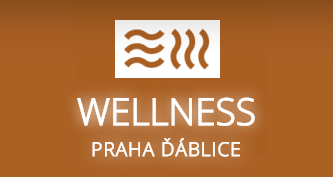 Wellness Dablice